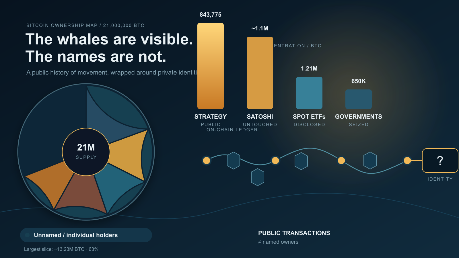 Dark navy infographic with a segmented circular chart of Bitcoin's supply, a bar chart comparing large holders in gold and teal, and a line of connected nodes ending in a question-mark box