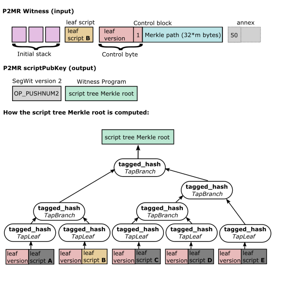 Construction of P2MR script tree root, scriptPubkey, and Witness